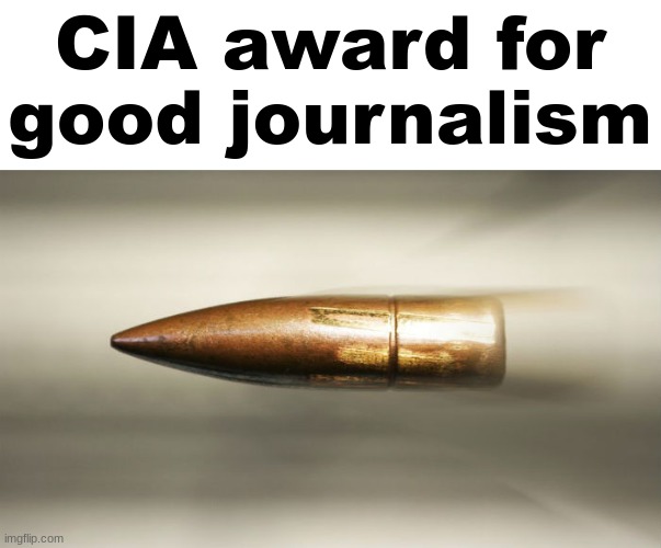 bullet | CIA award for good journalism | image tagged in bullet | made w/ Imgflip meme maker