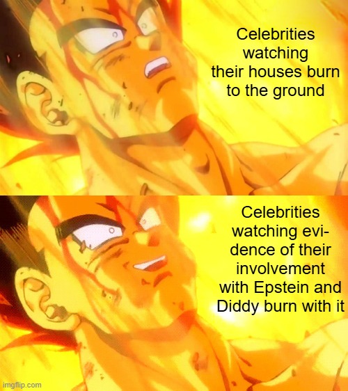 Hopefully the children they had locked in their cellars make it out okay. | Celebrities watching their houses burn to the ground; Celebrities watching evi-
dence of their involvement with Epstein and Diddy burn with it | image tagged in bardock death meme,epstein,diddy,pedowood | made w/ Imgflip meme maker