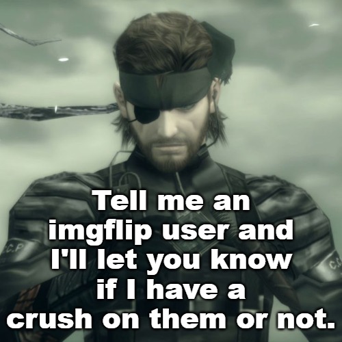 Metal Gear Solid Snake | Tell me an imgflip user and I'll let you know if I have a crush on them or not. | image tagged in metal gear solid snake | made w/ Imgflip meme maker