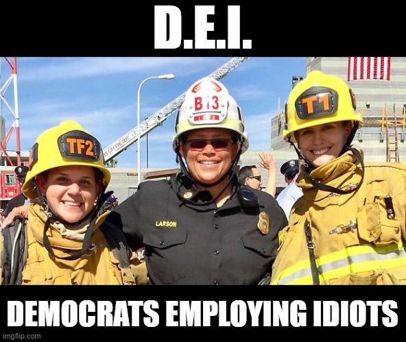 Democrats Employing Idiots | D.E.I. DEMOCRATS EMPLOYING IDIOTS | image tagged in dei,sjw,leftists,fire,firefighters,los angeles | made w/ Imgflip meme maker