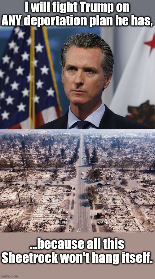 Somebody has to do it | I will fight Trump on ANY deportation plan he has, ...because all this Sheetrock won't hang itself. | image tagged in gavin newsom,la fires,california fires | made w/ Imgflip meme maker