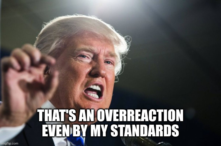 donald trump | THAT'S AN OVERREACTION EVEN BY MY STANDARDS | image tagged in donald trump | made w/ Imgflip meme maker