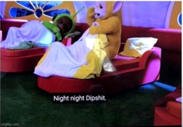 night night dipshit | image tagged in night night dipshit | made w/ Imgflip meme maker