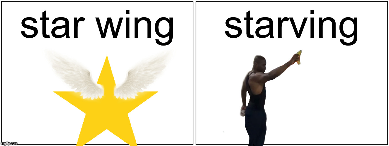 just got this idea | star wing; starving | image tagged in memes,blank comic panel 2x1 | made w/ Imgflip meme maker