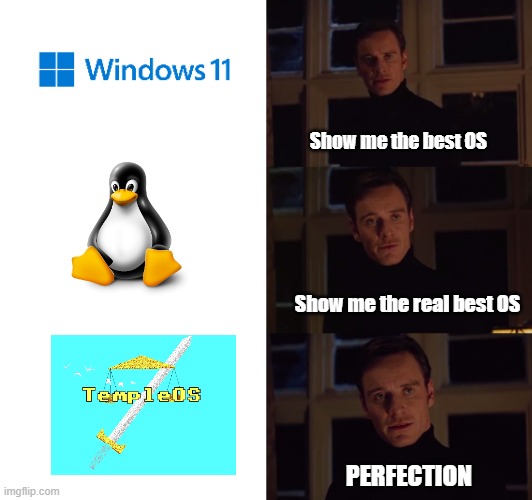 Best OS | Show me the best OS; Show me the real best OS; PERFECTION | image tagged in perfection | made w/ Imgflip meme maker