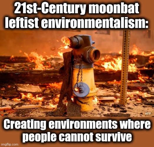 moonbat environmentalism | 21st-Century moonbat
leftist environmentalism:; Creating environments where
people cannot survive | image tagged in memes,democrats,los angeles,california,wildfires,environmentalism | made w/ Imgflip meme maker