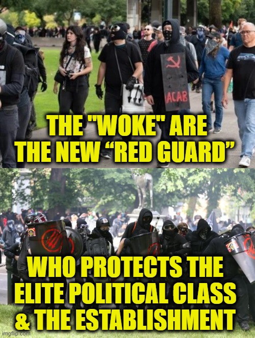 More Leftist Logic | THE "WOKE" ARE
THE NEW “RED GUARD”; WHO PROTECTS THE
ELITE POLITICAL CLASS
& THE ESTABLISHMENT | image tagged in leftists | made w/ Imgflip meme maker