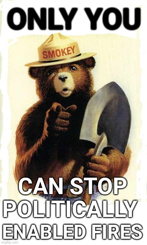 Politically Enabled Fires | ONLY YOU; CAN STOP POLITICALLY; ENABLED FIRES | image tagged in smokey the bear | made w/ Imgflip meme maker