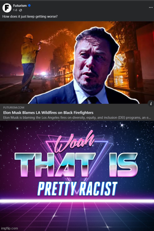 Racism Musk | image tagged in woah that is pretty racist,elon musk,firefighters,wildfires,racism | made w/ Imgflip meme maker