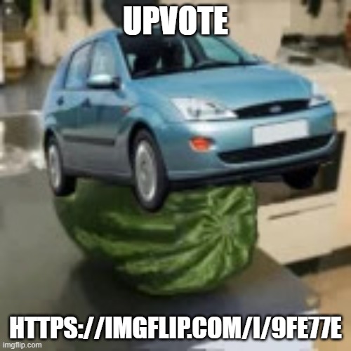 FocusMelon | UPVOTE; HTTPS://IMGFLIP.COM/I/9FE77E | image tagged in focusmelon | made w/ Imgflip meme maker