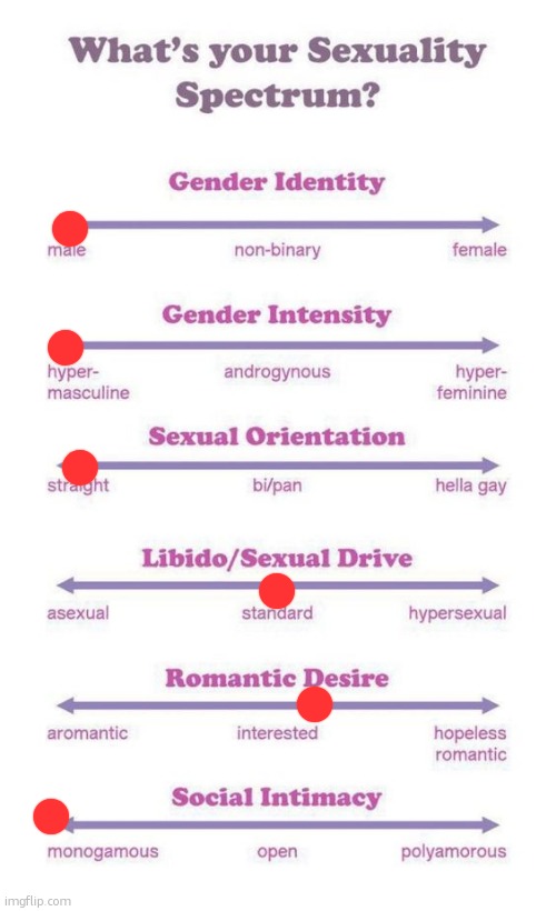 What's your sexuality spectrum? | image tagged in what's your sexuality spectrum | made w/ Imgflip meme maker