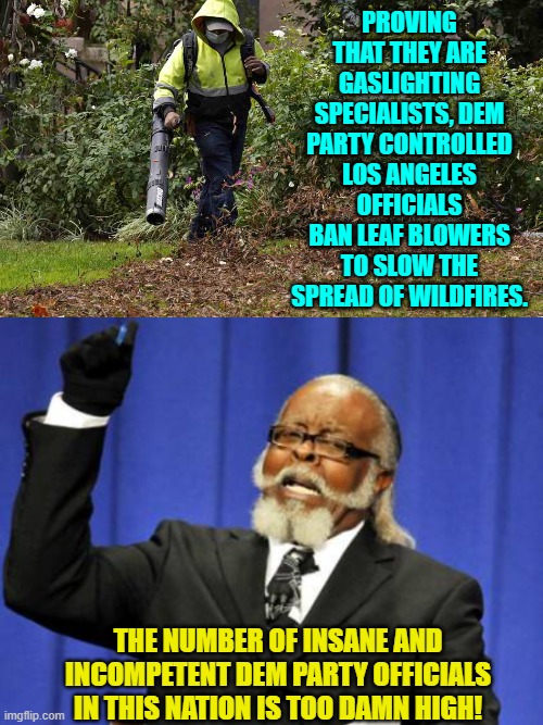 What's next?  Ban breathing because it contributes to carbon dioxide pollution? | PROVING THAT THEY ARE GASLIGHTING SPECIALISTS, DEM PARTY CONTROLLED LOS ANGELES OFFICIALS BAN LEAF BLOWERS TO SLOW THE SPREAD OF WILDFIRES. THE NUMBER OF INSANE AND INCOMPETENT DEM PARTY OFFICIALS IN THIS NATION IS TOO DAMN HIGH! | image tagged in yep | made w/ Imgflip meme maker