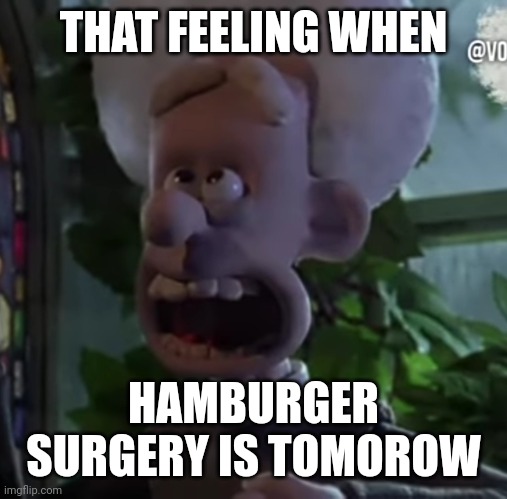 ooooh H A M B U R G E R | THAT FEELING WHEN; HAMBURGER SURGERY IS TOMOROW | image tagged in amen | made w/ Imgflip meme maker