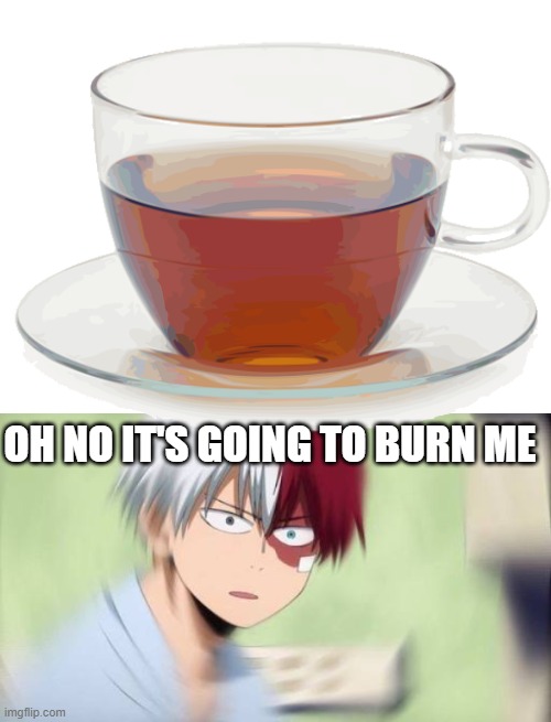 I don't want to remember it. | OH NO IT'S GOING TO BURN ME | image tagged in todoroki confused af | made w/ Imgflip meme maker