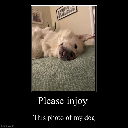 Please injoy | This photo of my dog | image tagged in funny,demotivationals,dogs | made w/ Imgflip demotivational maker