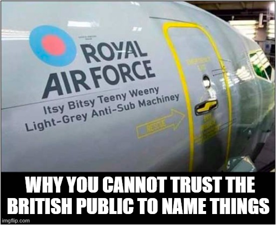 This Was Always Going To Happen | WHY YOU CANNOT TRUST THE BRITISH PUBLIC TO NAME THINGS | image tagged in british,silly names | made w/ Imgflip meme maker