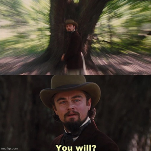 image tagged in leonardo dicaprio - you will | made w/ Imgflip meme maker