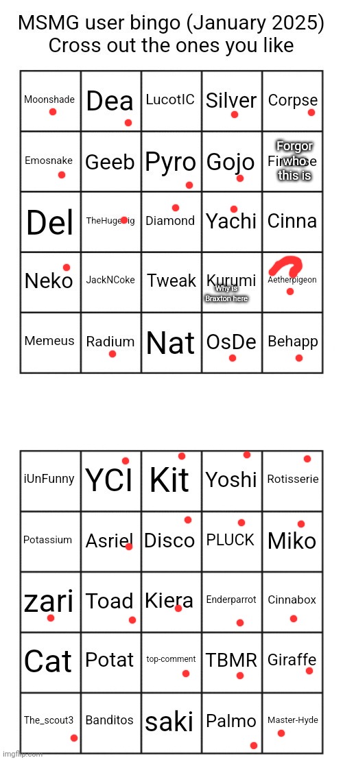 Also why am I not on here | Forgor who this is; Why is Braxton here | image tagged in msmg users january 2025 bingo | made w/ Imgflip meme maker
