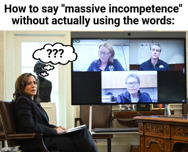 Dumber x 4 | How to say "massive incompetence" without actually using the words:; ??? | image tagged in memes,democrats,incompetence,wildfires,los angeles,kamala harris | made w/ Imgflip meme maker