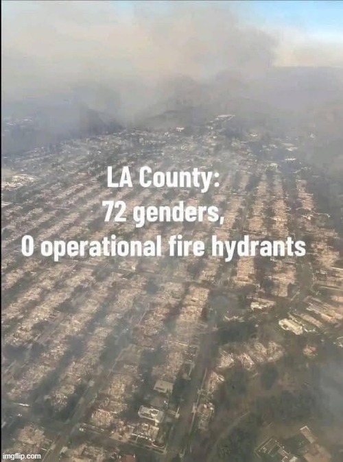 LA Fire Facts | image tagged in dark humor | made w/ Imgflip meme maker