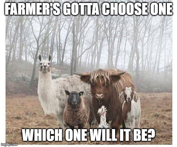 Lonely Farmer | FARMER'S GOTTA CHOOSE ONE; WHICH ONE WILL IT BE? | image tagged in dark humor | made w/ Imgflip meme maker