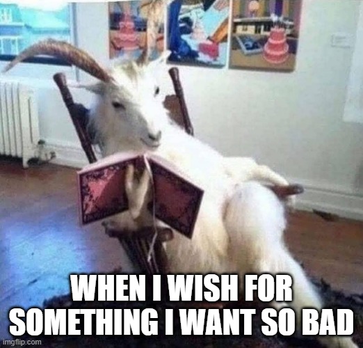 Take My Soul I Guess | WHEN I WISH FOR SOMETHING I WANT SO BAD | image tagged in dark humor | made w/ Imgflip meme maker