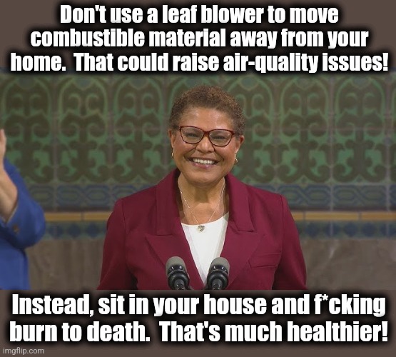 The latest air-quality alert from the idiots in L.A. | Don't use a leaf blower to move combustible material away from your home.  That could raise air-quality issues! Instead, sit in your house and f*cking
burn to death.  That's much healthier! | image tagged in memes,leaf blowers,democrats,air quality,wildfires,incompetence | made w/ Imgflip meme maker