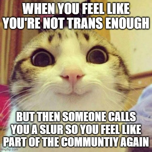 Smiling Cat | WHEN YOU FEEL LIKE YOU'RE NOT TRANS ENOUGH; BUT THEN SOMEONE CALLS YOU A SLUR SO YOU FEEL LIKE PART OF THE COMMUNTIY AGAIN | image tagged in memes,smiling cat | made w/ Imgflip meme maker