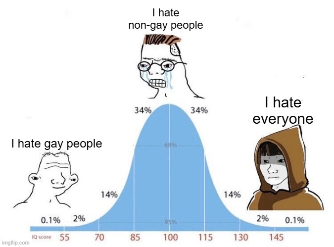 Bell Curve | I hate non-gay people; I hate everyone; I hate gay people | image tagged in bell curve | made w/ Imgflip meme maker