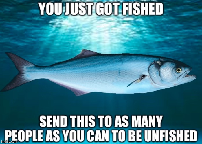 Fish | made w/ Imgflip meme maker