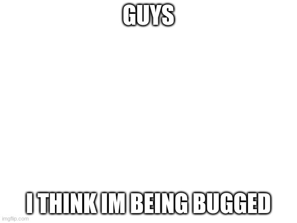 check comments bc one of the things are facing my computer rn | GUYS; I THINK IM BEING BUGGED | image tagged in bugged | made w/ Imgflip meme maker