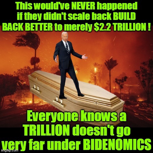 Now TRUMP will actually have to BBB just like last time | This would've NEVER happened if they didn't scale back BUILD BACK BETTER to merely $2.2 TRILLION ! Everyone knows a TRILLION doesn't go very far under BIDENOMICS | image tagged in biden build back better ca fires meme | made w/ Imgflip meme maker