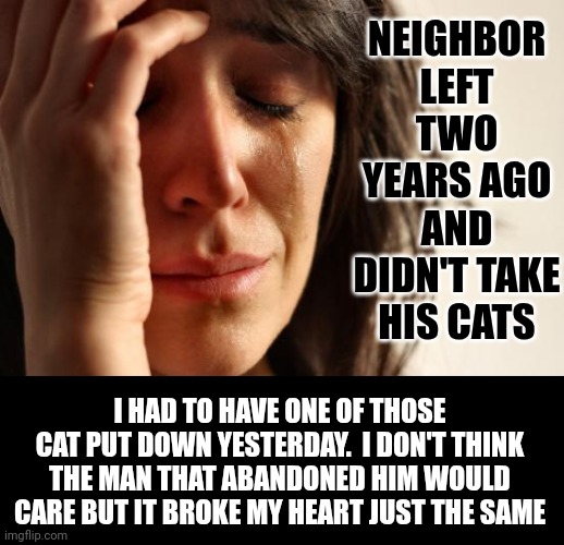 Don't Abandon YOUR Cats!  Get Them Spayed Or Neutered And Treat Them Like FAMILY!  You Azzholez Dumping Your Animals Should Burn | NEIGHBOR LEFT TWO YEARS AGO AND DIDN'T TAKE HIS CATS; I HAD TO HAVE ONE OF THOSE CAT PUT DOWN YESTERDAY.  I DON'T THINK THE MAN THAT ABANDONED HIM WOULD CARE BUT IT BROKE MY HEART JUST THE SAME | image tagged in memes,first world problems,horrible people,animal abuse,abuse,betrayal | made w/ Imgflip meme maker