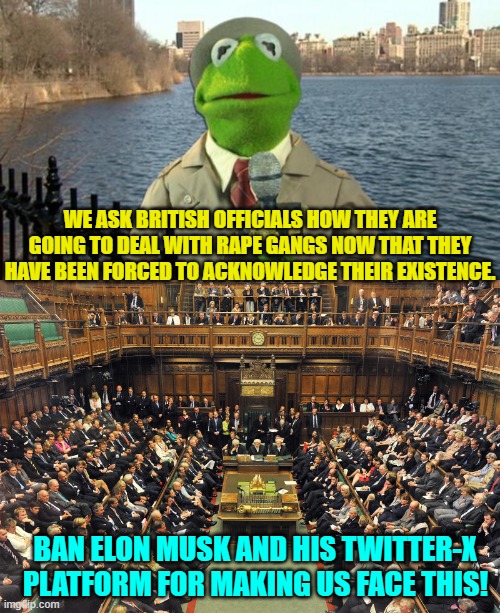 So essentially they are all mostly leftists. | WE ASK BRITISH OFFICIALS HOW THEY ARE GOING TO DEAL WITH RAPE GANGS NOW THAT THEY HAVE BEEN FORCED TO ACKNOWLEDGE THEIR EXISTENCE. BAN ELON MUSK AND HIS TWITTER-X PLATFORM FOR MAKING US FACE THIS! | image tagged in kermit news report | made w/ Imgflip meme maker