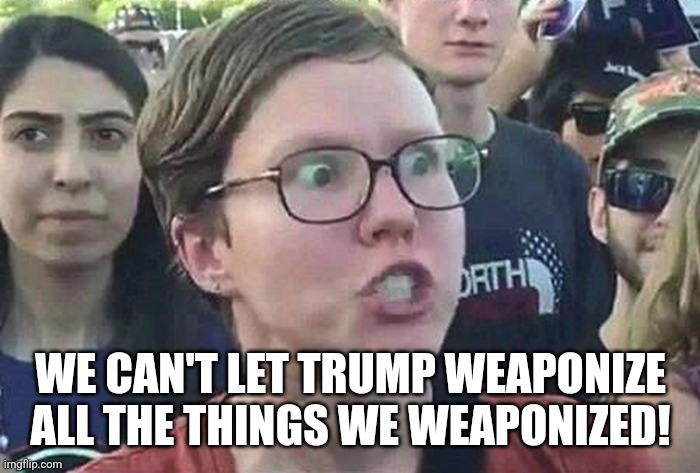 Triggered Liberal | WE CAN'T LET TRUMP WEAPONIZE ALL THE THINGS WE WEAPONIZED! | image tagged in triggered liberal | made w/ Imgflip meme maker