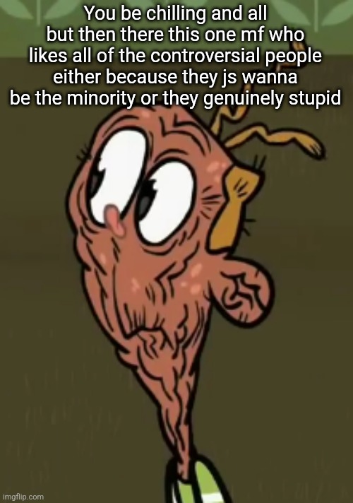 two shoes wild | You be chilling and all but then there this one mf who likes all of the controversial people either because they js wanna be the minority or they genuinely stupid | image tagged in two shoes wild | made w/ Imgflip meme maker
