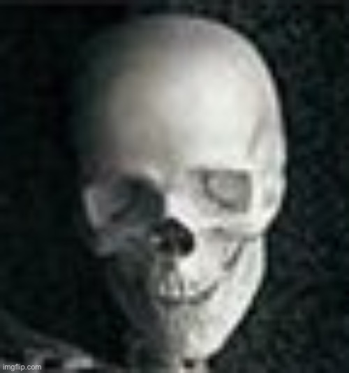 Low quality skull because shitpost | image tagged in skull | made w/ Imgflip meme maker