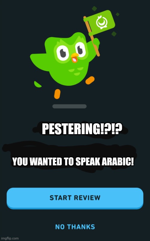 Duolingo Arabic Pestering | PESTERING!?!? YOU WANTED TO SPEAK ARABIC! | image tagged in duolingo when you haven't opened the app in 1 month | made w/ Imgflip meme maker