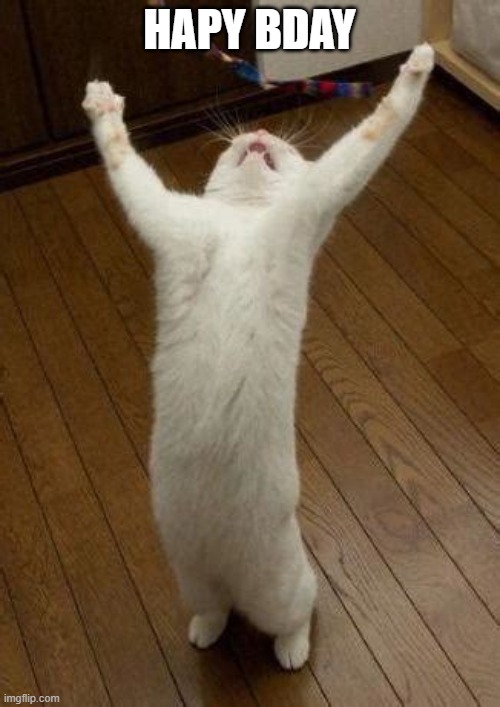 Hooray Cat | HAPY BDAY | image tagged in hooray cat | made w/ Imgflip meme maker