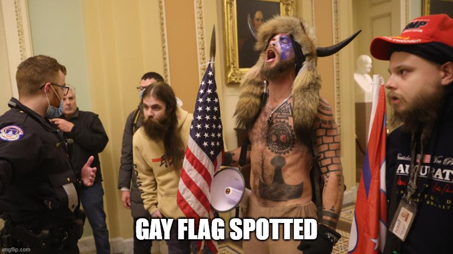 Give me more...! | GAY FLAG SPOTTED | image tagged in give me more | made w/ Imgflip meme maker