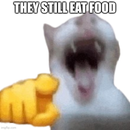 laughing cat | THEY STILL EAT FOOD | image tagged in laughing cat | made w/ Imgflip meme maker