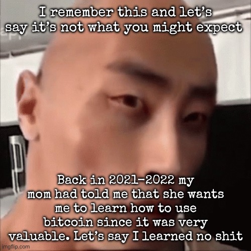 If I had learned, I could be less broke | I remember this and let’s say it’s not what you might expect; Back in 2021-2022 my mom had told me that she wants me to learn how to use bitcoin since it was very valuable. Let’s say I learned no shit | image tagged in da chinese wok,msmg | made w/ Imgflip meme maker