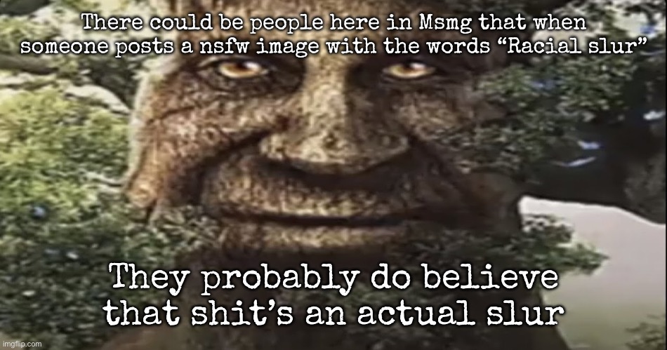 You have to be slow or something to believe it’s an actual slur | There could be people here in Msmg that when someone posts a nsfw image with the words “Racial slur”; They probably do believe that shit’s an actual slur | image tagged in wise mystical tree,msmg | made w/ Imgflip meme maker