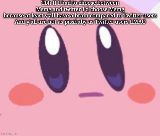 Blank Kirby Face | Tbh If I had to choose between Msmg and twitter I'd choose Msmg because at least y'all have a brain compared to Twitter users

And y'all are not as pissbaby as Twitter users LMAO | image tagged in blank kirby face | made w/ Imgflip meme maker