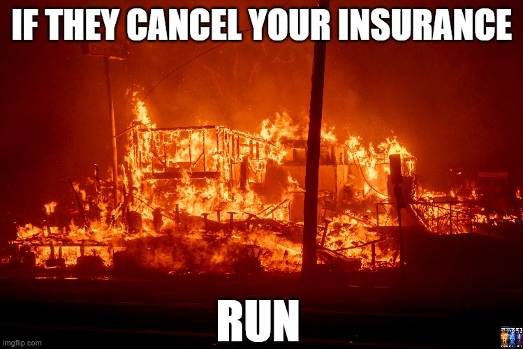 "they" | IF THEY CANCEL YOUR INSURANCE; RUN | image tagged in fire,wildfires,judaism,insurance,bankers,nwo | made w/ Imgflip meme maker