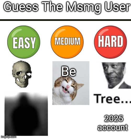 Guess the msmg user | Be; 2025 account | image tagged in guess the msmg user | made w/ Imgflip meme maker