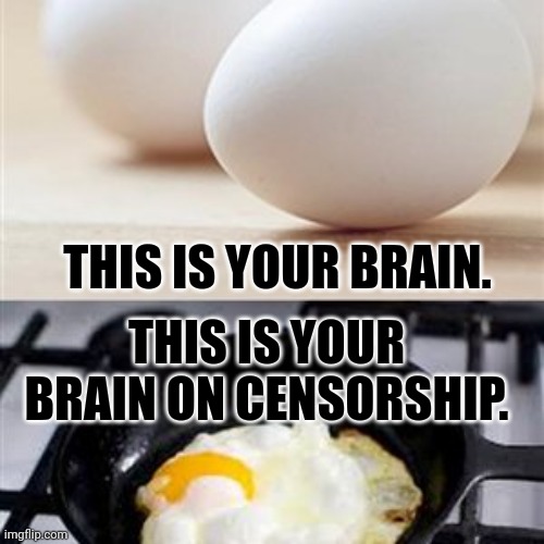 Brain, Brain on Drugs (egg) | THIS IS YOUR BRAIN. THIS IS YOUR BRAIN ON CENSORSHIP. | image tagged in brain brain on drugs egg | made w/ Imgflip meme maker