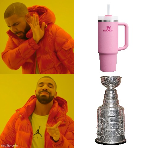 I hate that the water bottle is the first thing that pops up when I search Stanley Cup | image tagged in memes,drake hotline bling | made w/ Imgflip meme maker