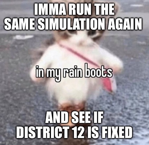 Rain boots | IMMA RUN THE SAME SIMULATION AGAIN; AND SEE IF DISTRICT 12 IS FIXED | image tagged in rain boots | made w/ Imgflip meme maker
