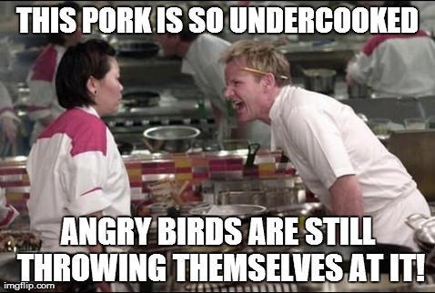 Angry Chef Gordon Ramsay | THIS PORK IS SO UNDERCOOKED ANGRY BIRDS ARE STILL THROWING THEMSELVES AT IT! | image tagged in memes,angry chef gordon ramsay | made w/ Imgflip meme maker